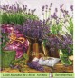 Preview: Lavendel in Töpfen und Lavendelsäckchen - 1 Lunch Serviette